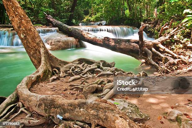 Cascata E Azul Fluxo Na Floresta Tailândia - Fotografias de stock e mais imagens de Cascata - Cascata, Corrente - Água corrente, Descontrair