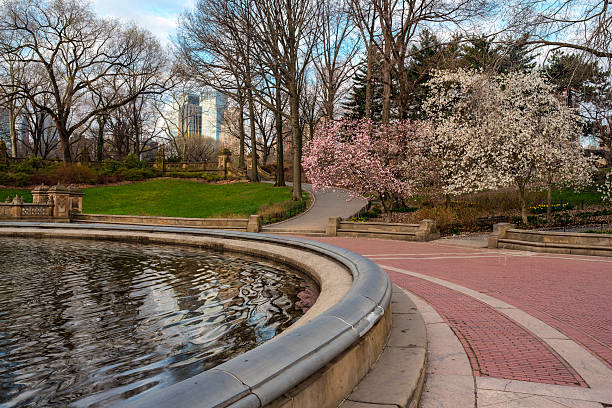istock Central Park, New York City 177790905