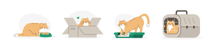 Cat Activity Science Cat Activity Set Stock Illustration - Download Image Now - Domestic Cat ...