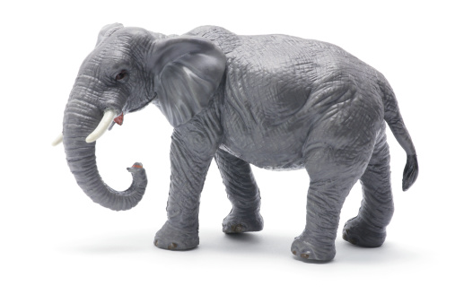 Toy Elephant on White Background