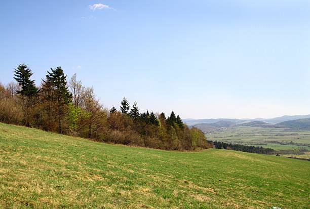istock landscape of Carpathians in Poland at spring 177792310