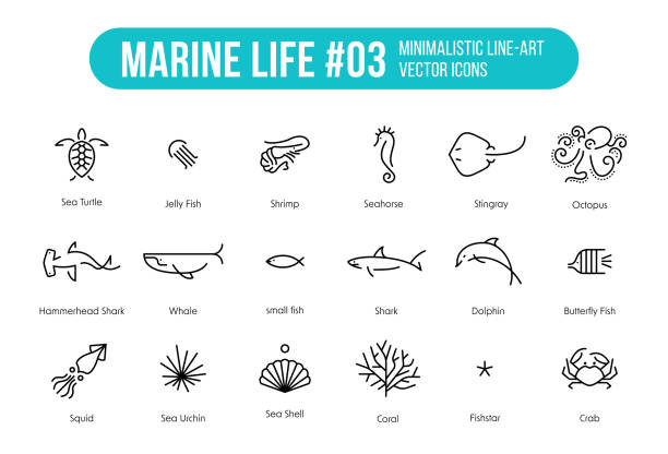 Marine Life - thin line illustration Marine Life Minimalist icons set Simple Line illustration - The collection includes eighteen fish and sea animals which suitable for education or categories water animal octopus sea stock illustrations