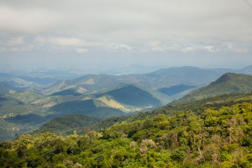 Spectacular Rainforest landscape with mountain range