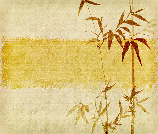 istock bamboo on old grunge paper texture background 177793775