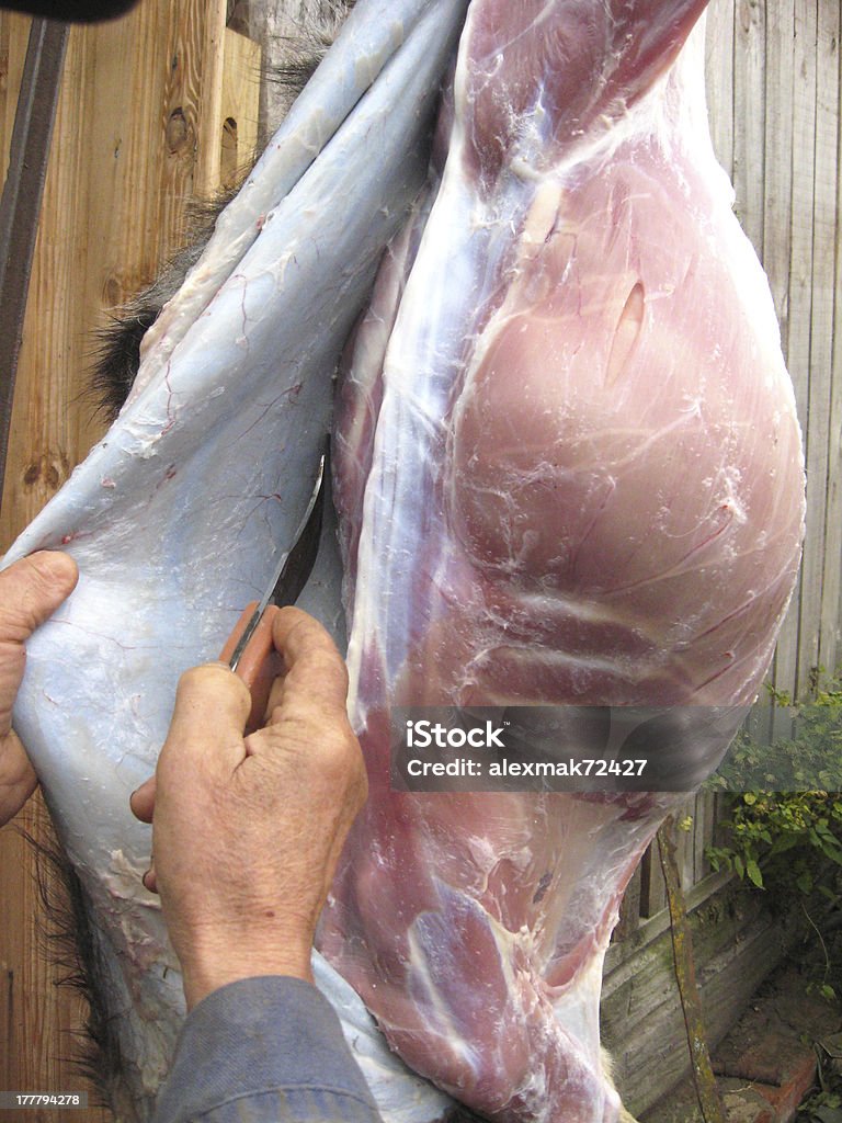 Personne coupes de viande de chèvre - Photo de Abattoir libre de droits