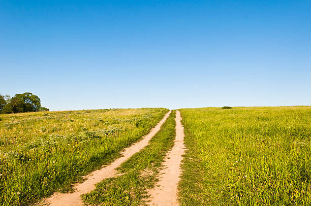 istock dirt road in a field 177795194
