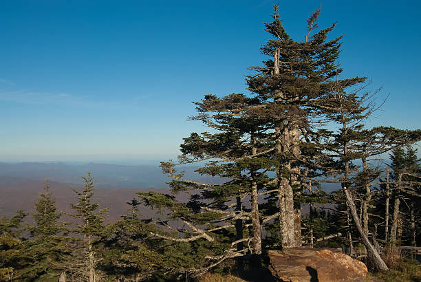 Appalachian Mountains from Mount Mitchell, the highest point in