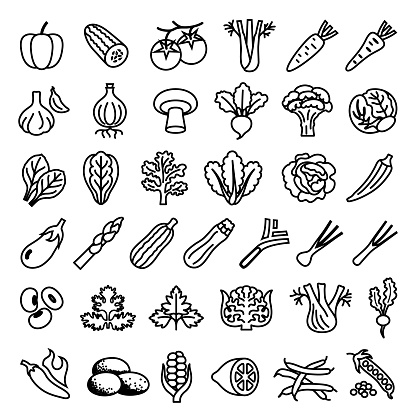 Single color outline icons representing common vegetables