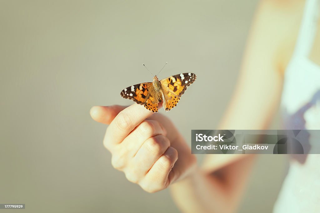 Beautiful butterfly Beautiful butterfly sitting on the girl hand Butterfly - Insect Stock Photo