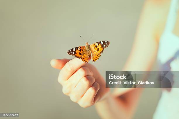 Beautiful Butterfly Stock Photo - Download Image Now - Butterfly - Insect, Women, Close-up