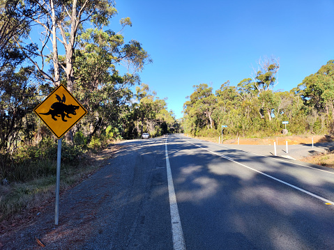 Road sign in Tasmania alerting drivers to the presence of Tasmanian Devils near that road.