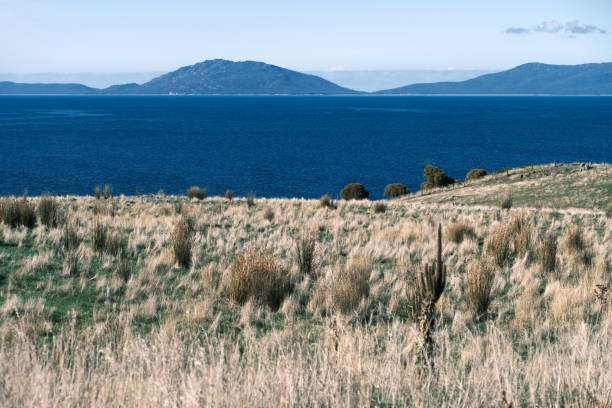 Landscape of the wild east tasmanian coast overlooking the Tasman sea, Australia.