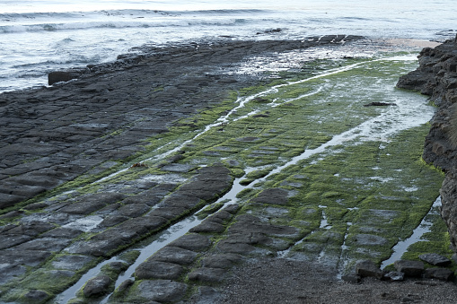 The Tessellated Pavement that is found at Eaglehawk Neck on the Tasman Peninsula of Tasmania. This tessellated pavement consists of a marine platform on the shore of Pirates Bay, Tasmania. This example consists of two types of formations: a pan formation and a loaf formation.