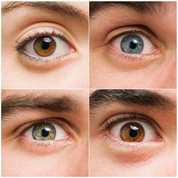istock Set Of Human Eyes 177796339