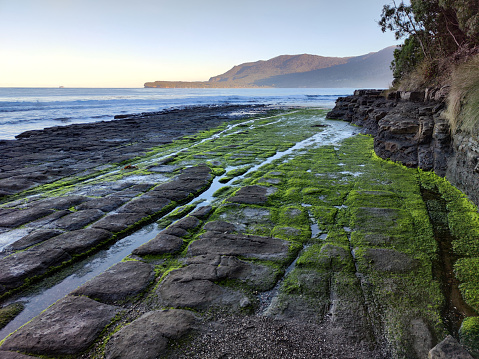 The Tessellated Pavement that is found at Eaglehawk Neck on the Tasman Peninsula of Tasmania. This tessellated pavement consists of a marine platform on the shore of Pirates Bay, Tasmania. This example consists of two types of formations: a pan formation and a loaf formation.
