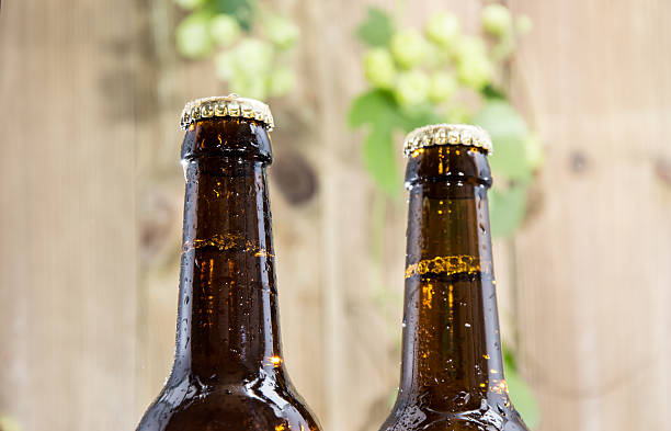 Two wet bottles of Beer decorated with Hops on wooden background