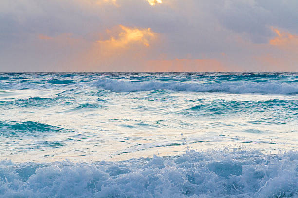 istock Beach of the Caribbean Sea 177798304