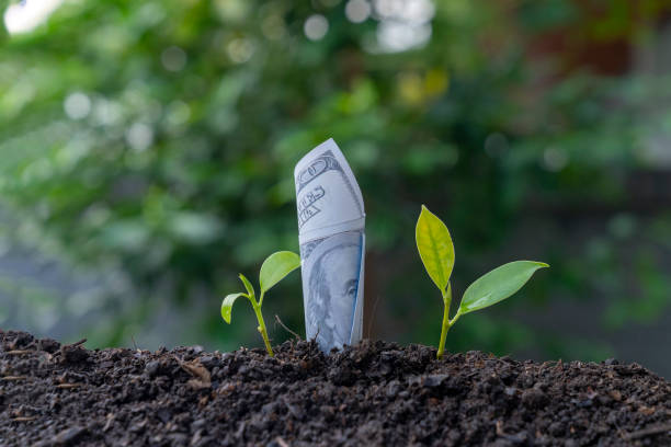 istock Money grows on the ground, money grows rate concept. 1777983967