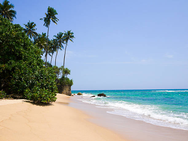 istock Kubulgama beach close to Mirissa, Sri Lanka 177798653