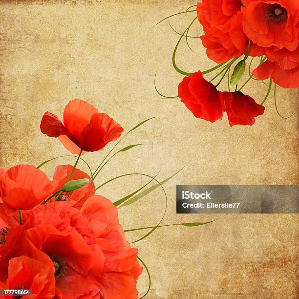 Vintage Poppies Composition Stock Illustration - Download Image Now - Ancient, Antique, Backgrounds