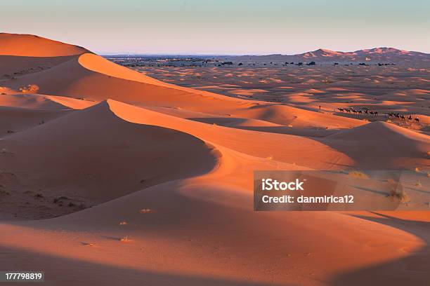 Caravan Nel Deserto Del Sahara Marocco - Fotografie stock e altre immagini di Africa - Africa, Ambientazione esterna, Animale