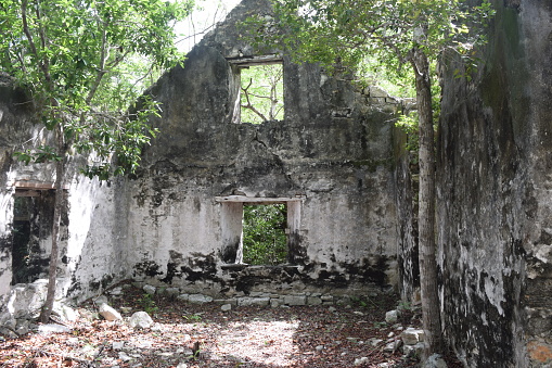 Exterior wall of a ruin on Wades Green Plantation