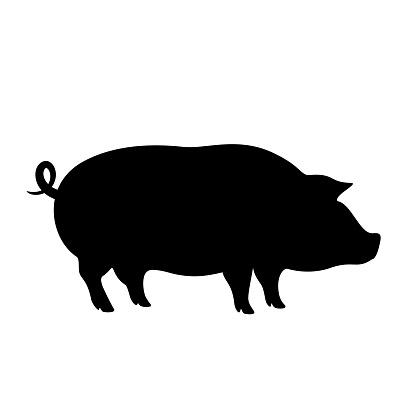 Pig boar vector icon on white background