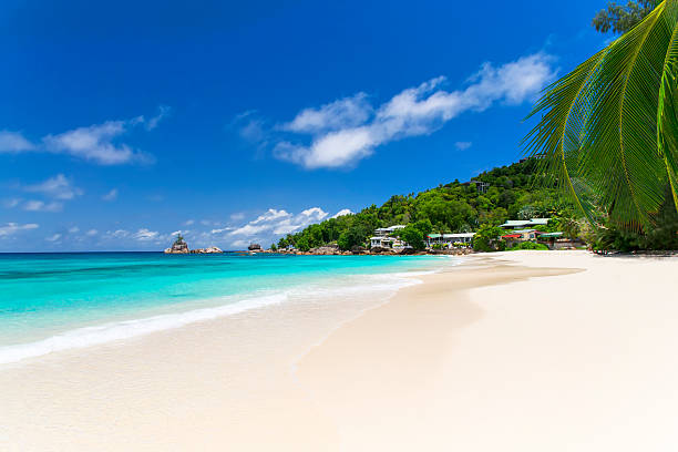 istock White coral beach sand and azure indian ocean. 177799929