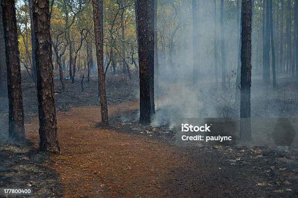 Caminho Para A Vida Nova - Fotografias de stock e mais imagens de Movimento - Movimento, Acender, Amarelo