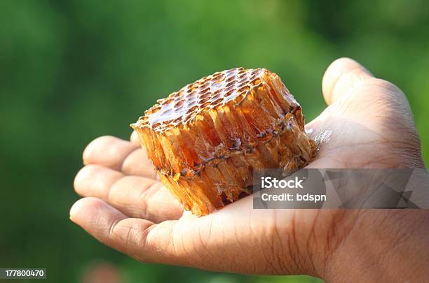 Hand Hält Ein Honigfarben Stockfoto und mehr Bilder von Abnehmen - Abnehmen, Bienenwabe, Bienenwachs