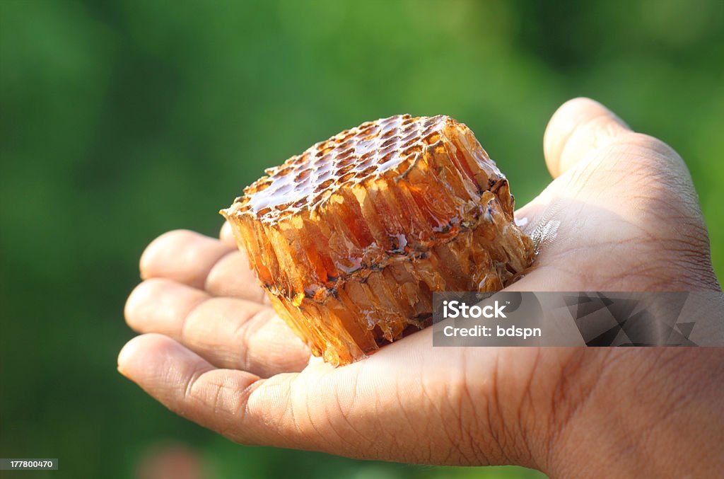 Mano agarrando una miel peine - Foto de stock de Aire libre libre de derechos