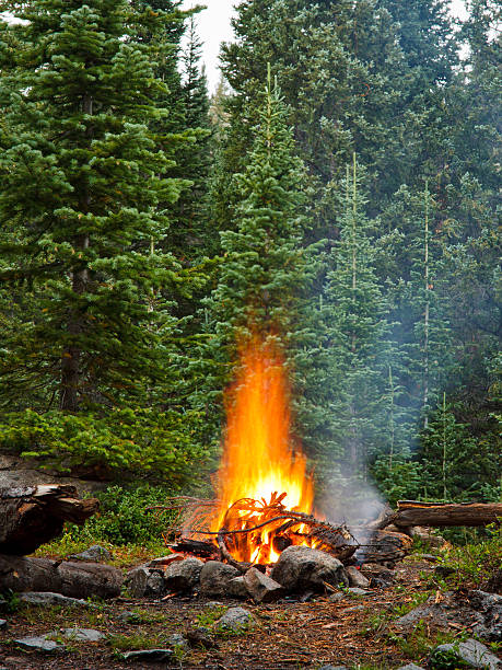 Campfire at Wilderness Campsite in the Rocky Mountains, Colorado