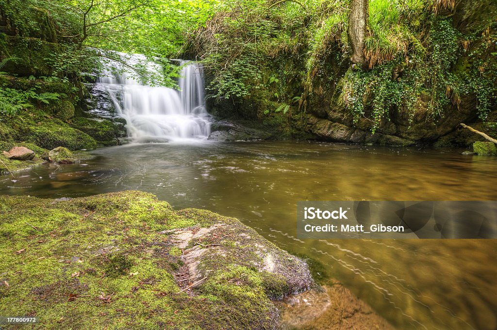 Splendida cascata che scorre su rocce attraverso la lussureggiante foresta - Foto stock royalty-free di Acqua
