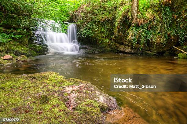 Splendida Cascata Che Scorre Su Rocce Attraverso La Lussureggiante Foresta - Fotografie stock e altre immagini di Acqua