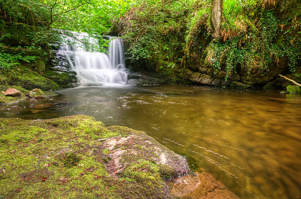 istock Stunning waterfall flowing over rocks through lush green forest 177800972
