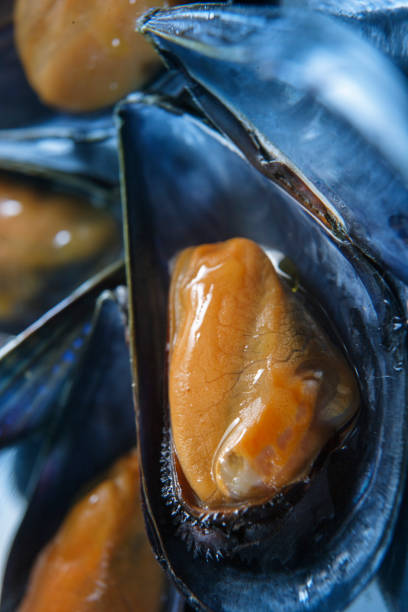 istock open raw mussel on steel background 1778010580