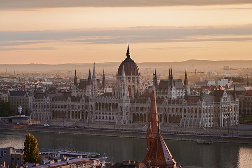 Flowers and leaves near Parliament in Budapest at sunset, Hungary