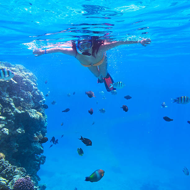 istock Woman snorkeling in Red Sea 177802208
