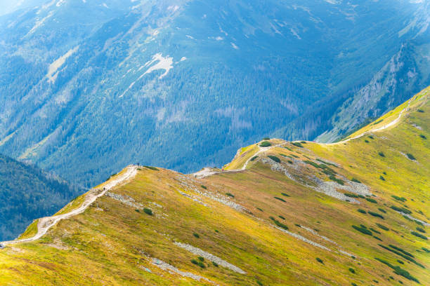 mountain view panorama landscape Poland Zakopane