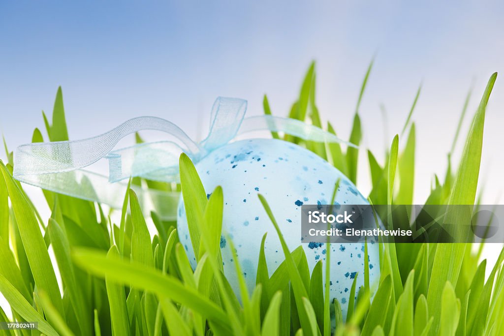 Blue Oeuf de Pâques en herbe verte - Photo de Bleu libre de droits