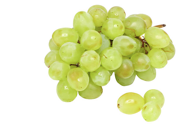 istock Branch of green grapes . Isolated 177802446