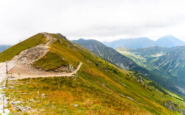 istock mountain view panorama landscape Poland Zakopane 1778026303