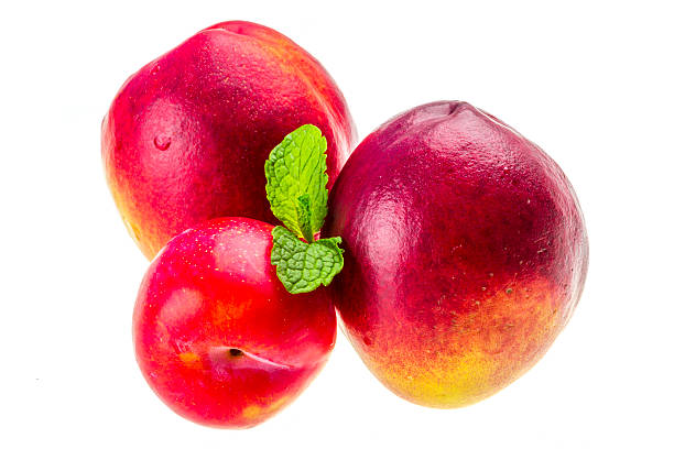 istock Ripe bright peaches, plum and mint 177802970