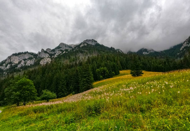 mountain view panorama landscape Poland Zakopane
