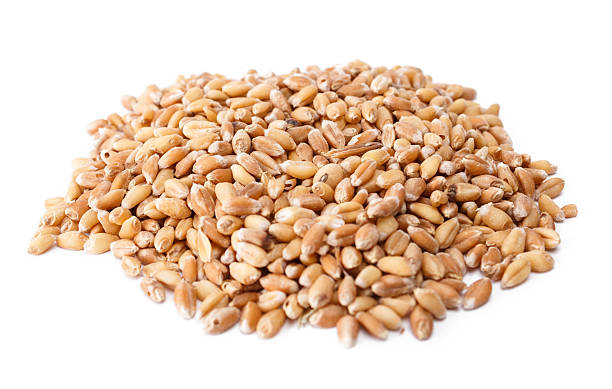 istock Pile of wheat berries 177803822