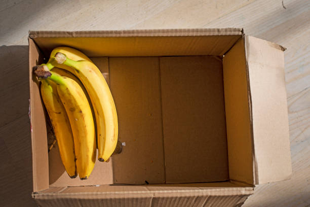 craft box with bananas illuminated by the sun. flatlay