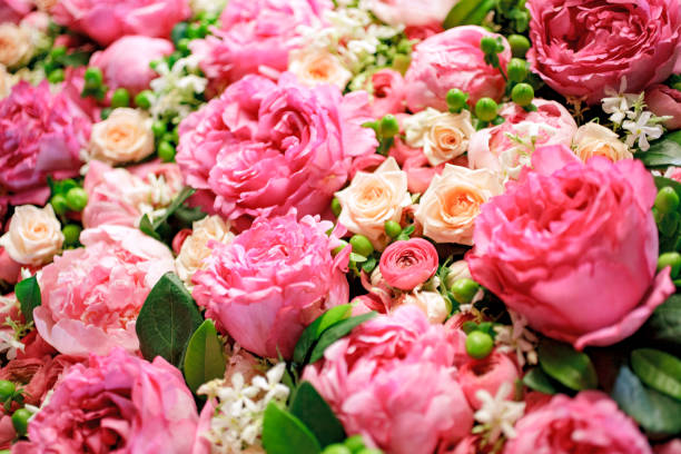 istock expanse of colorful flowers 1778039782