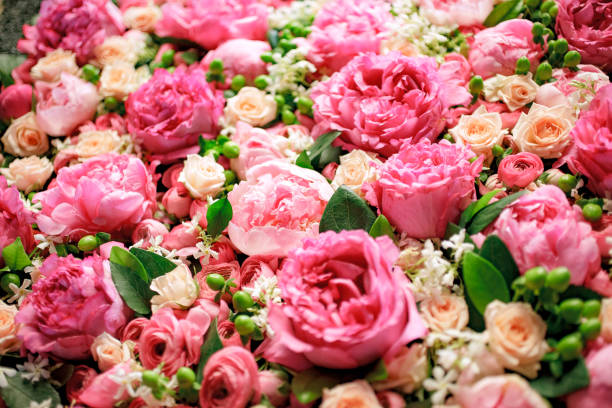 istock expanse of colorful flowers 1778039788
