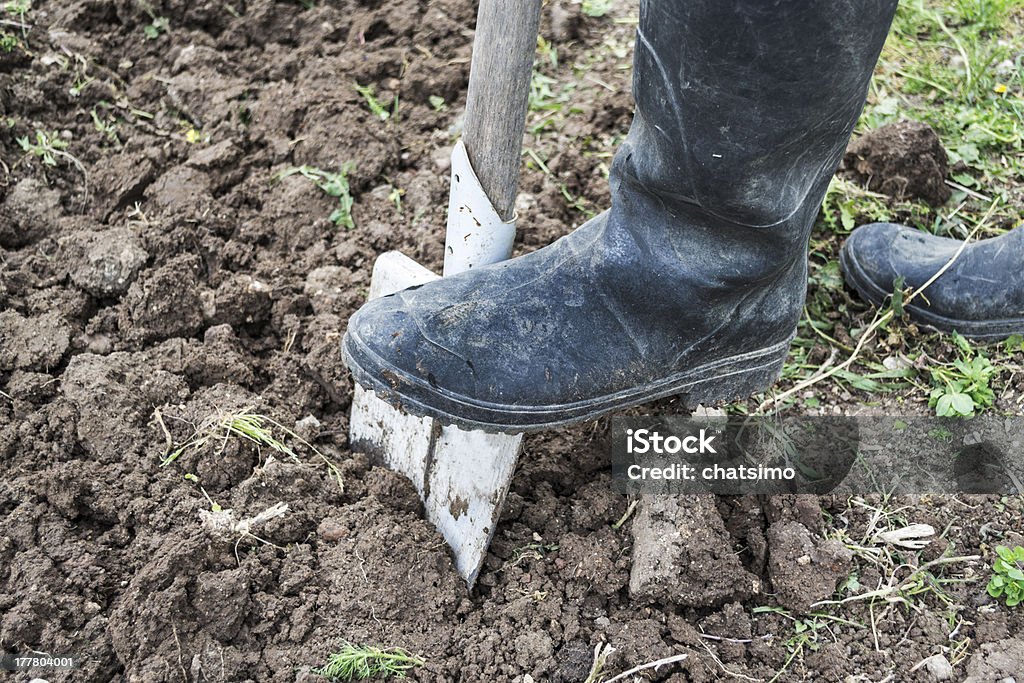 Digging spring soil with shovel Agriculture Stock Photo