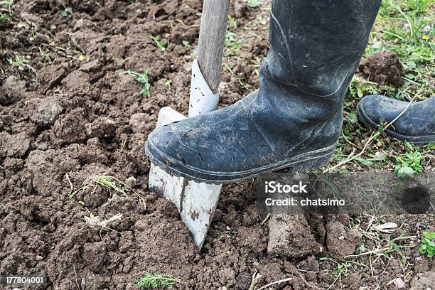 Digging Spring Soil With Shovel Stock Photo - Download Image Now - Agriculture, Backgrounds, Digging